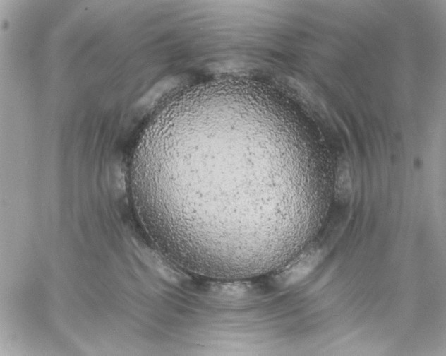 X0000059230282200510281913