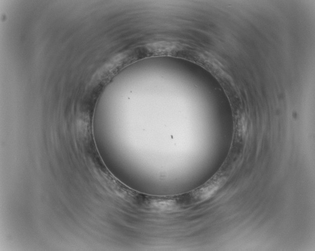 X0000059230283200510281913