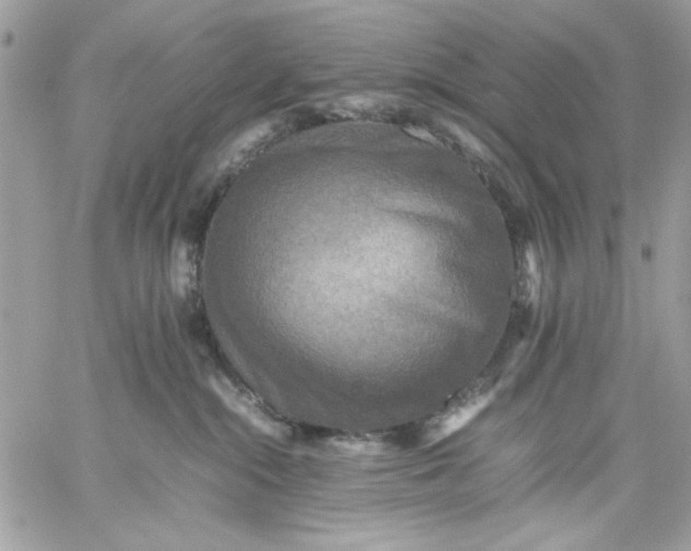 X0000059230284200510281913