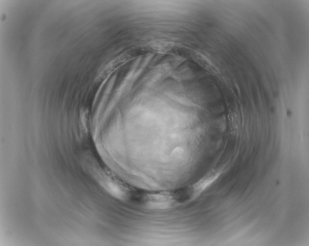 X0000059230286200510281913