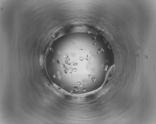 X0000059230288200510281913