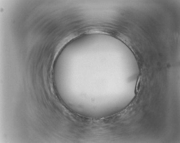 X0000059230289200510281912