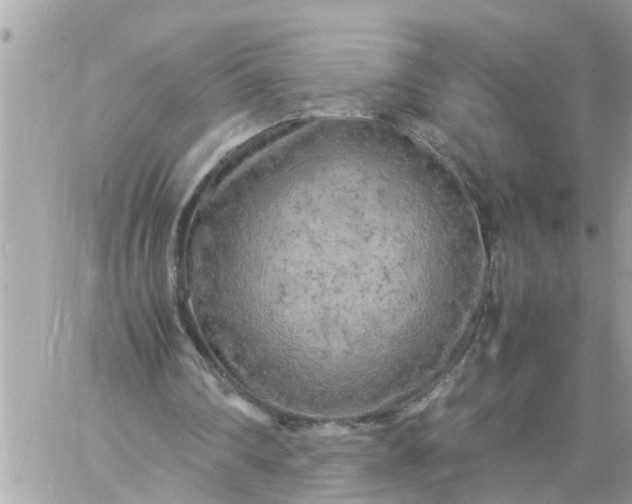 X0000059230290200510281912