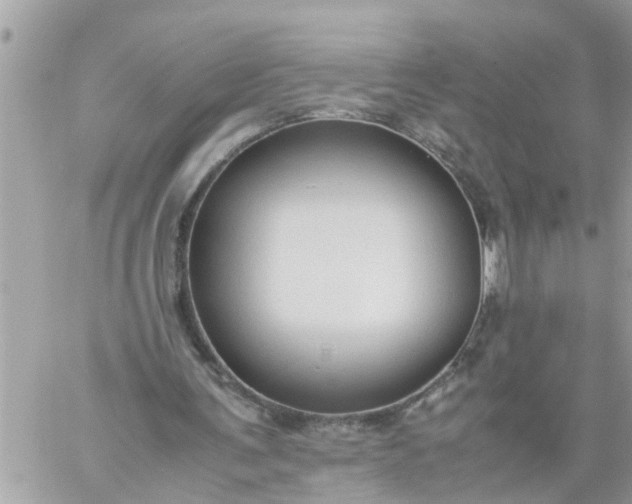 X0000059230291200510281912