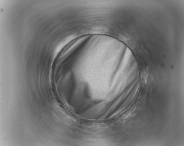 X0000059230292200510281912