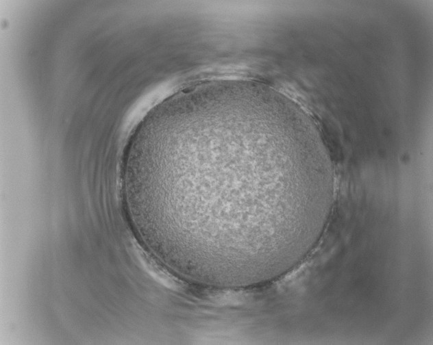 X0000059230293200510281912