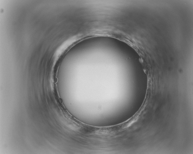 X0000059230294200510281912