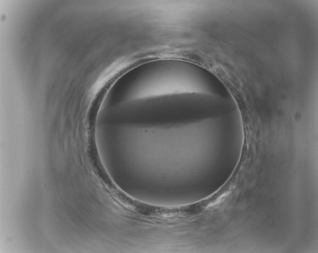 X0000059230295200510281912