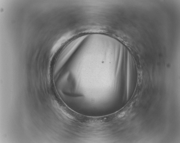 X0000059230296200510281912