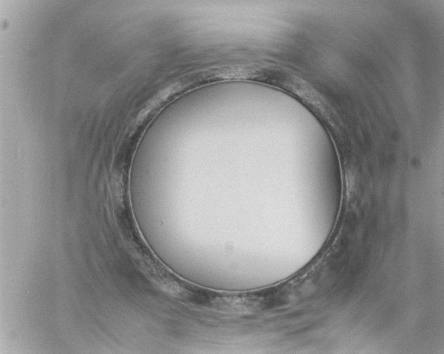 X0000059230297200510281912