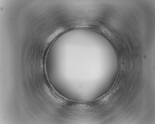 X0000059230298200510281912