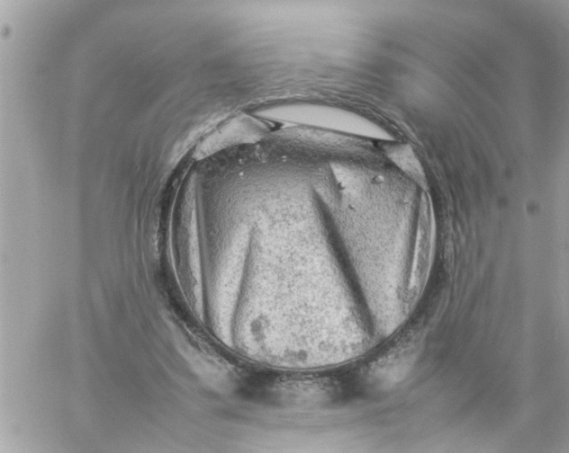 X0000059230299200510281912