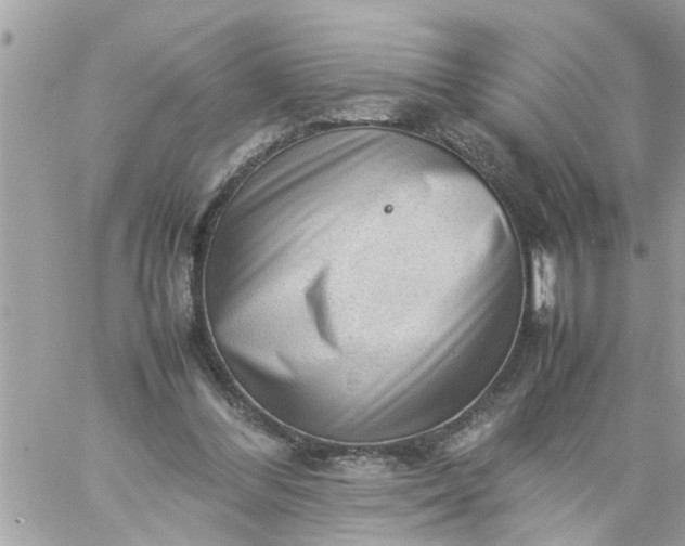 X0000059230300200510281912