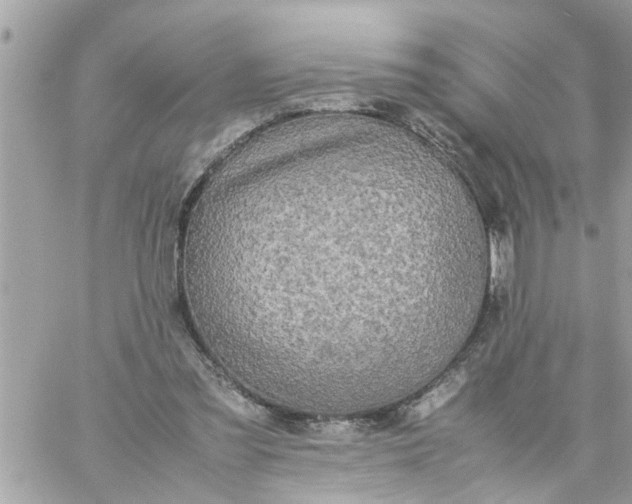 X0000059230301200510281912