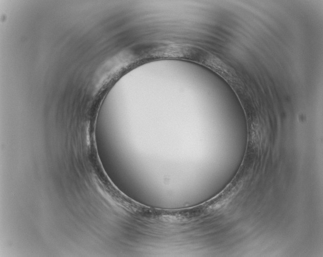 X0000059230302200510281912