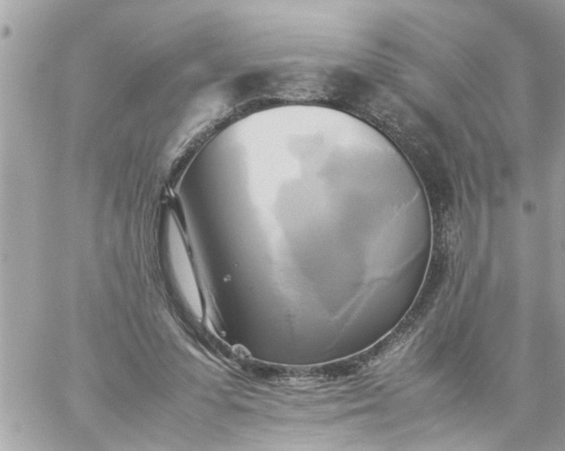 X0000059230303200510281912