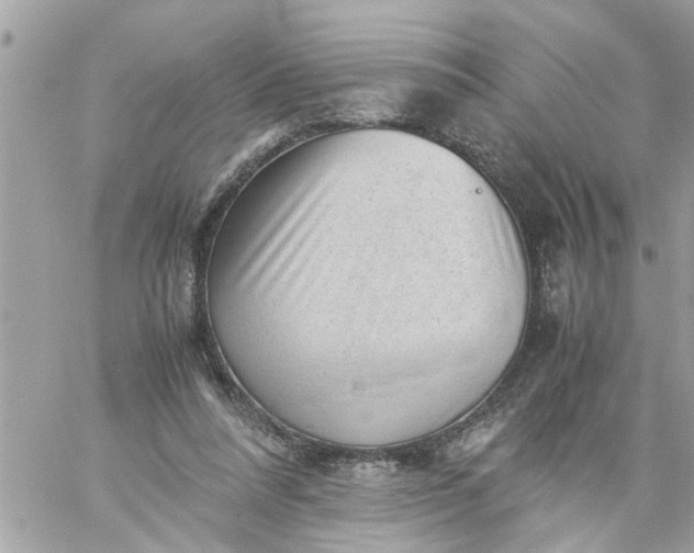 X0000059230304200510281912