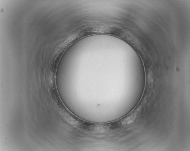 X0000059230305200510281912