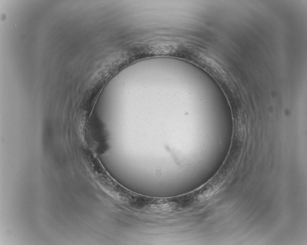 X0000059230307200510281912