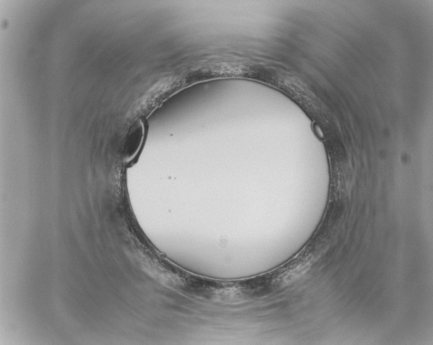 X0000059230309200510281912