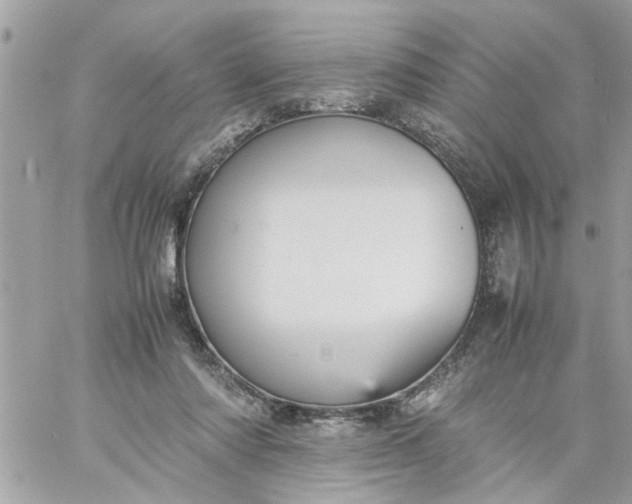 X0000059230310200510281912