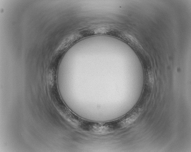 X0000059230311200510281912