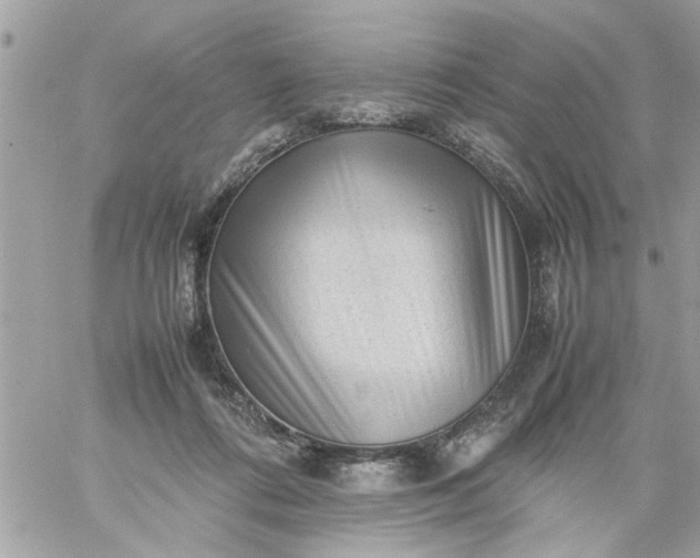 X0000059230312200510281912