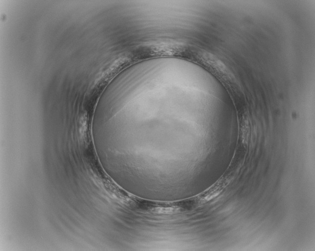 X0000059230314200510281912