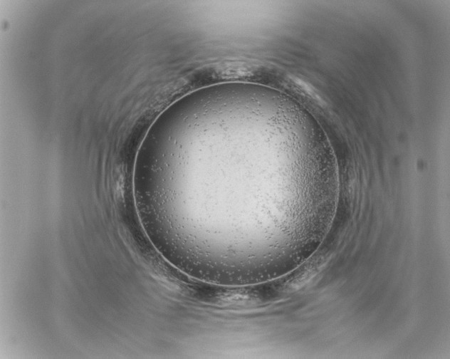 X0000059230315200510281912