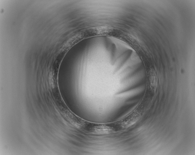 X0000059230316200510281912