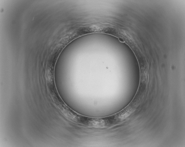 X0000059230317200510281912