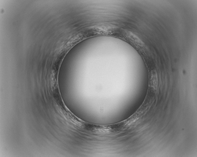 X0000059230318200510281912