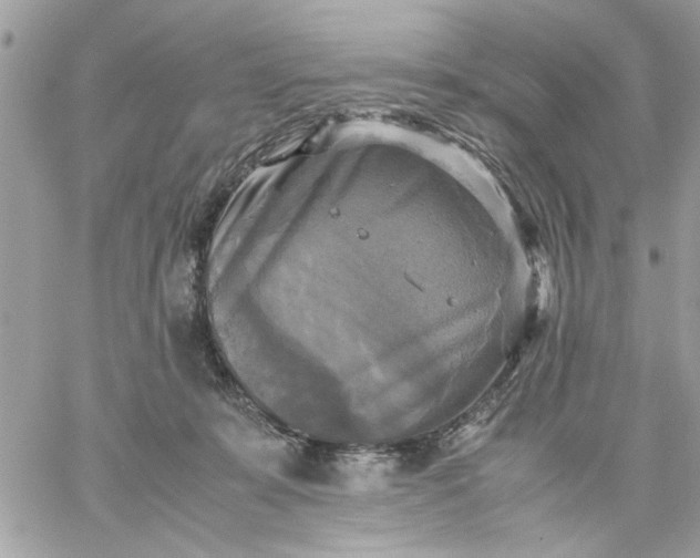 X0000059230319200510281912