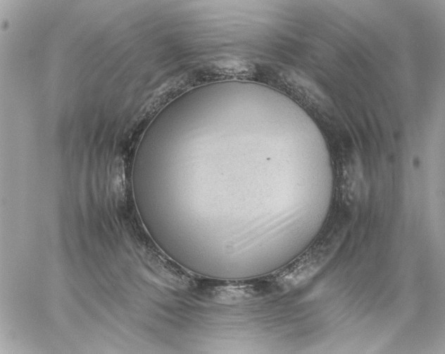 X0000059230320200510281912