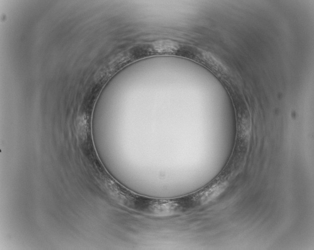 X0000059230321200510281912