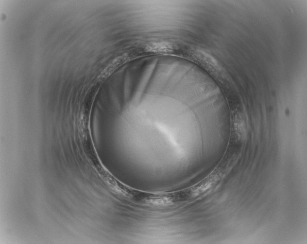 X0000059230322200510281912