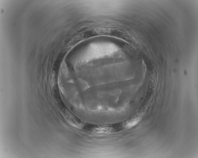 X0000059230323200510281912