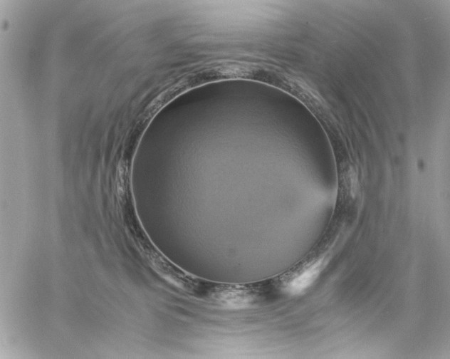 X0000059230325200510281912