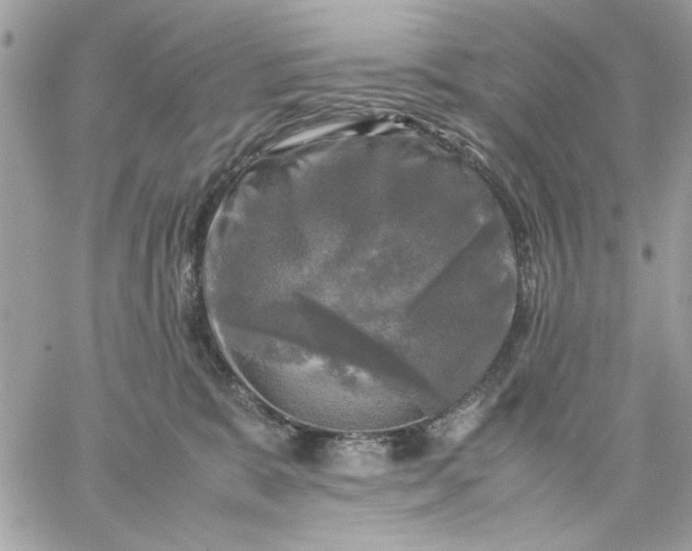 X0000059230327200510281912