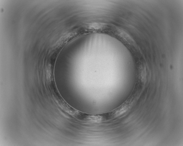 X0000059230328200510281912