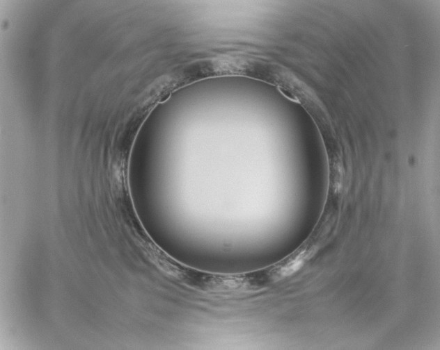 X0000059230329200510281912