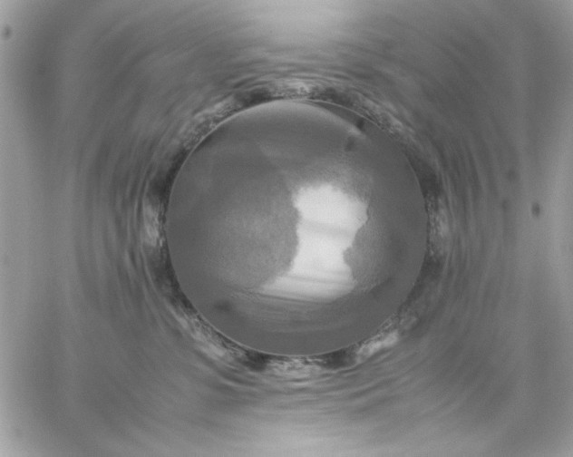 X0000059230331200510281912