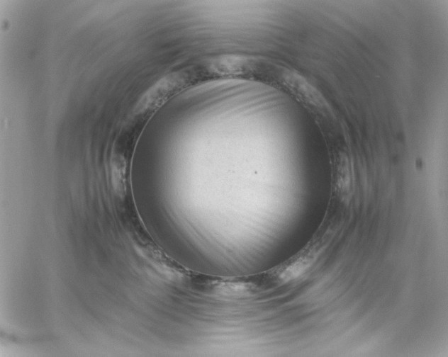 X0000059230332200510281911