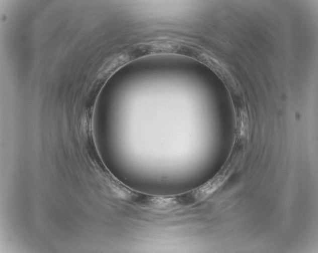 X0000059230333200510281911