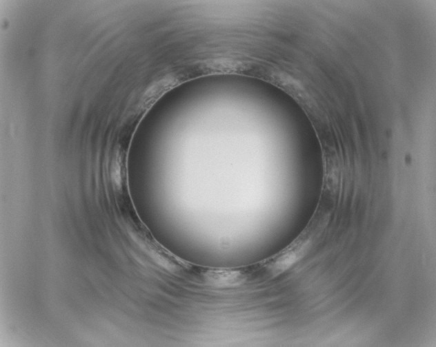 X0000059230334200510281911