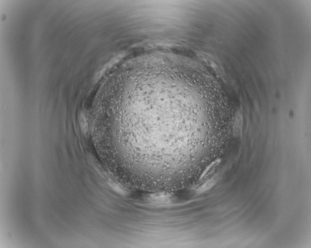 X0000059230335200510281911