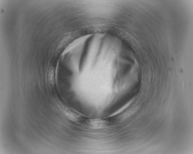 X0000059230336200510281911