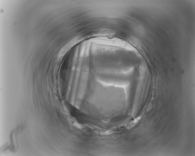 X0000059230337200510281911