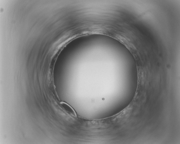 X0000059230338200510281911