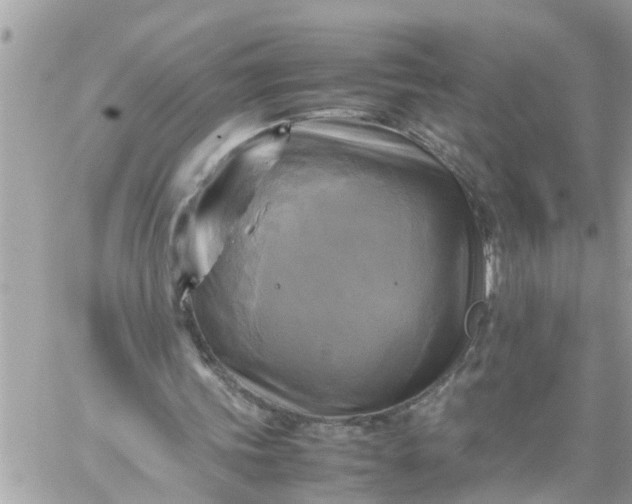 X0000059230339200510281911